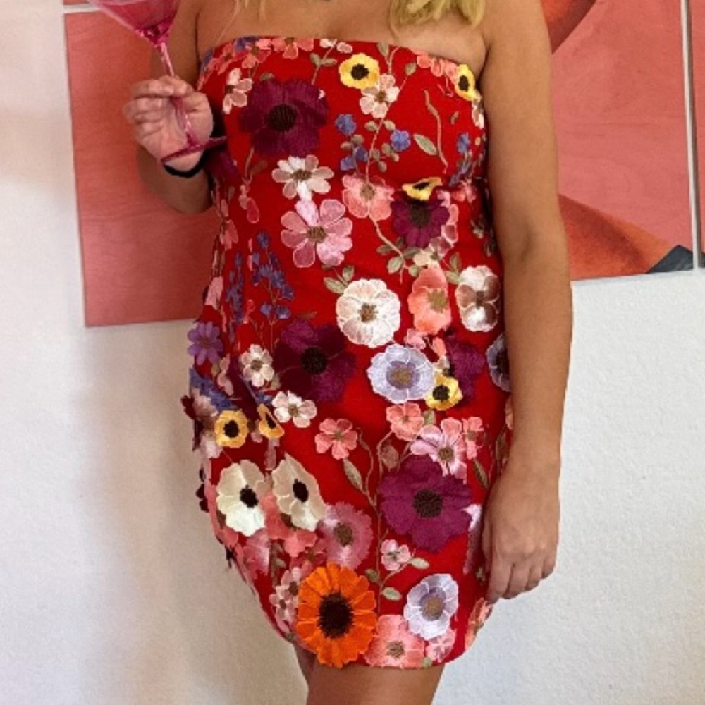 Anthropologie 3D red flower printed dress